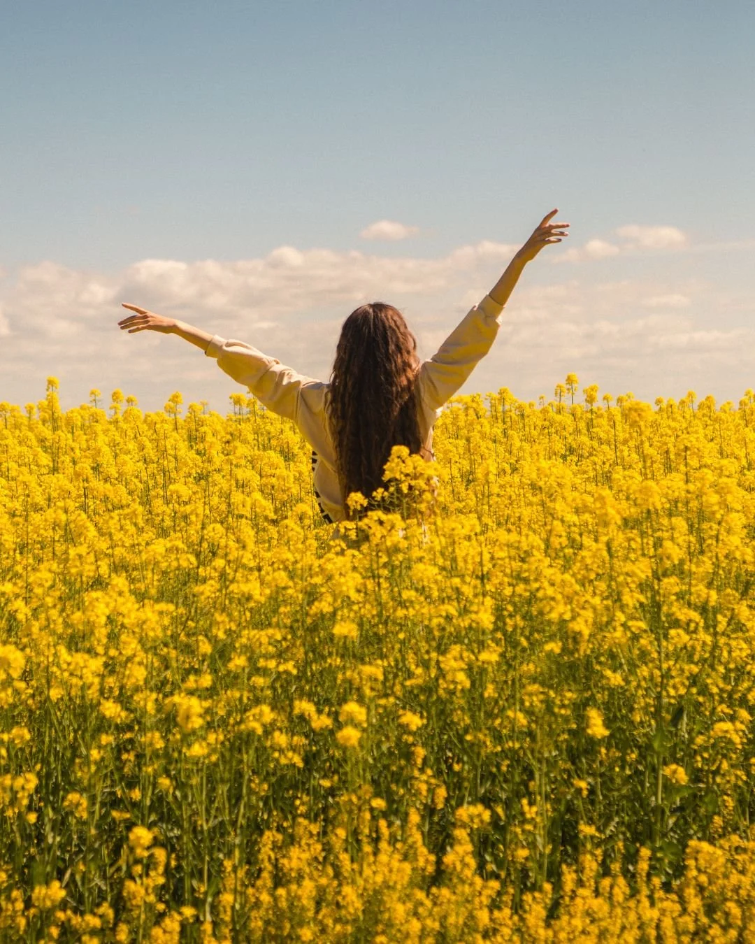 Personne debout dans un champ de fleurs jaunes avec les bras levés sous un ciel bleu.