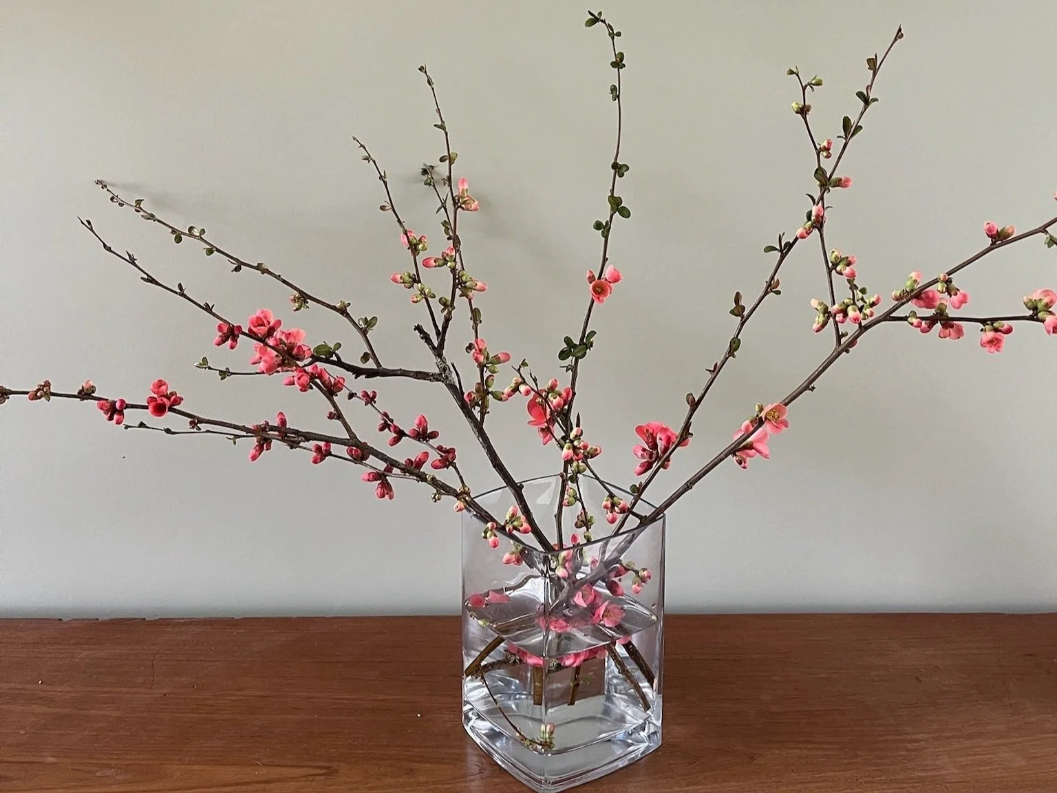 Des branches de pommier du Japon avec des fleurs roses dans un vase en verre sur une table en bois.