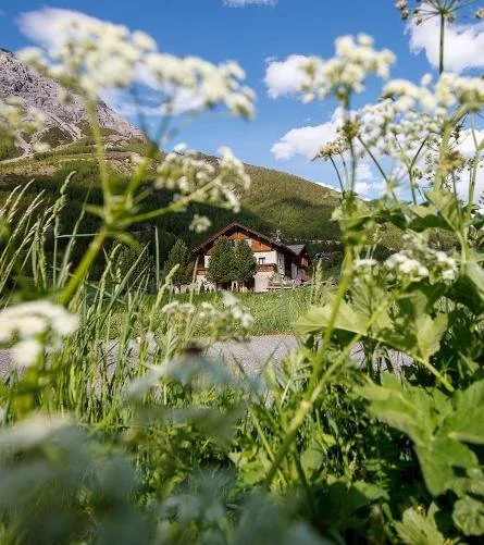 Terme3.jpg