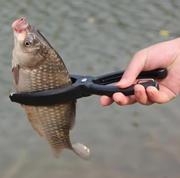 pince poisson peche capture.png