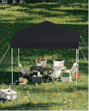 tente abris 3 x 3m spec 2 rive sud.JPG