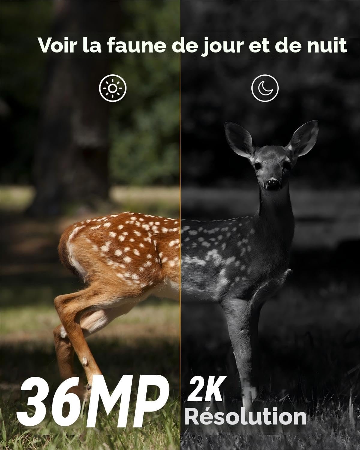 camera chambly chasse.jpg