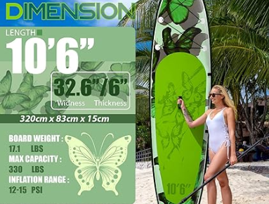 dimention papillon .png