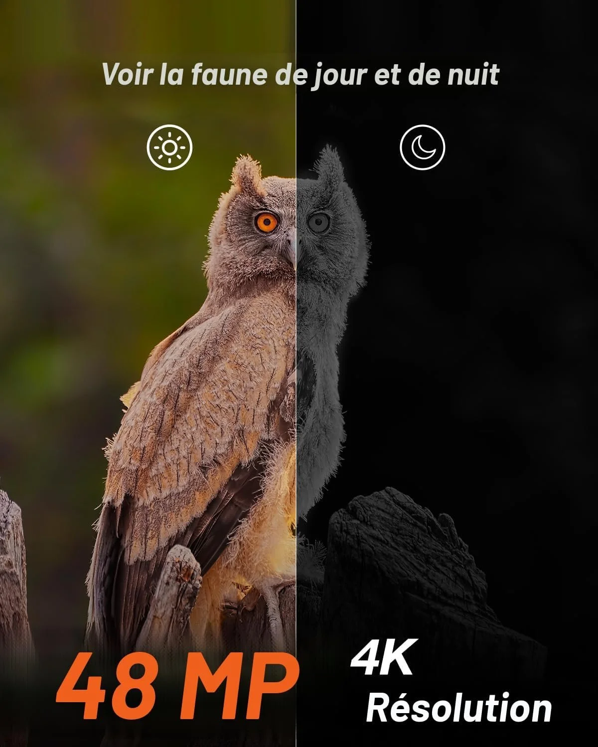 caméra solaire chasse rive sud de montréal.jpg