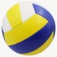 Ballon de Volley-Ball Professionnel