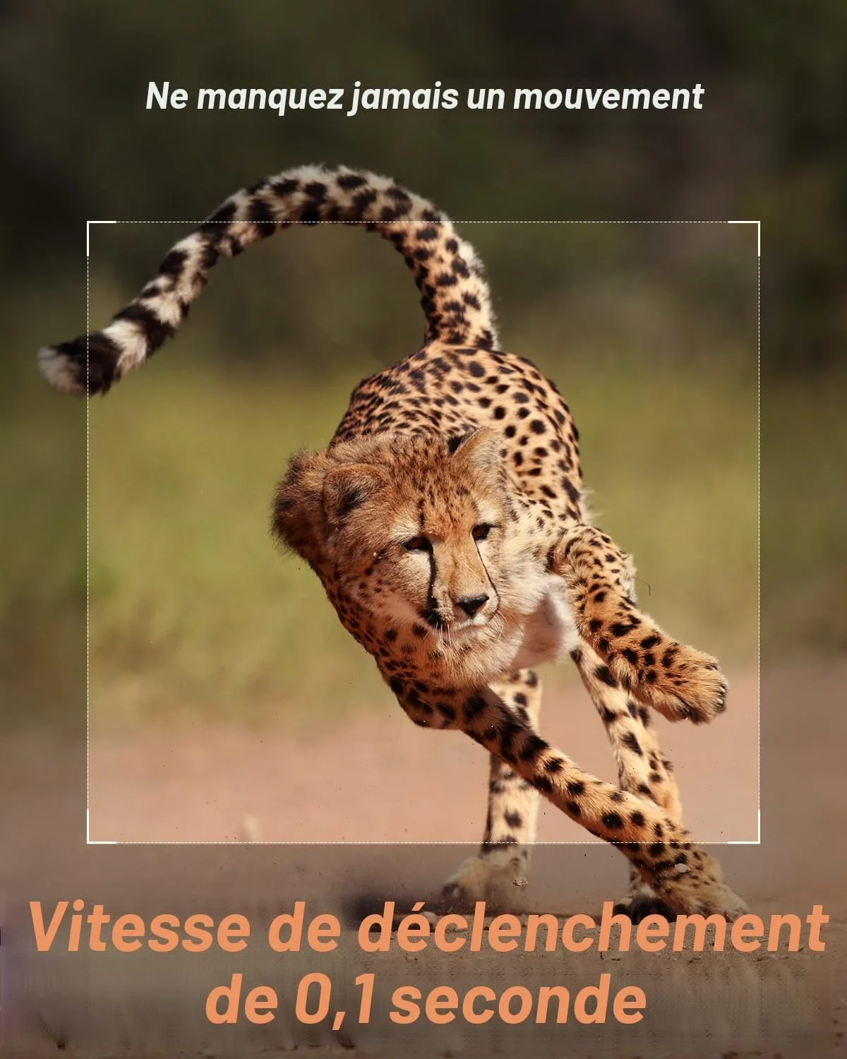 caméra chasse solaire izeeker chambly.jpg