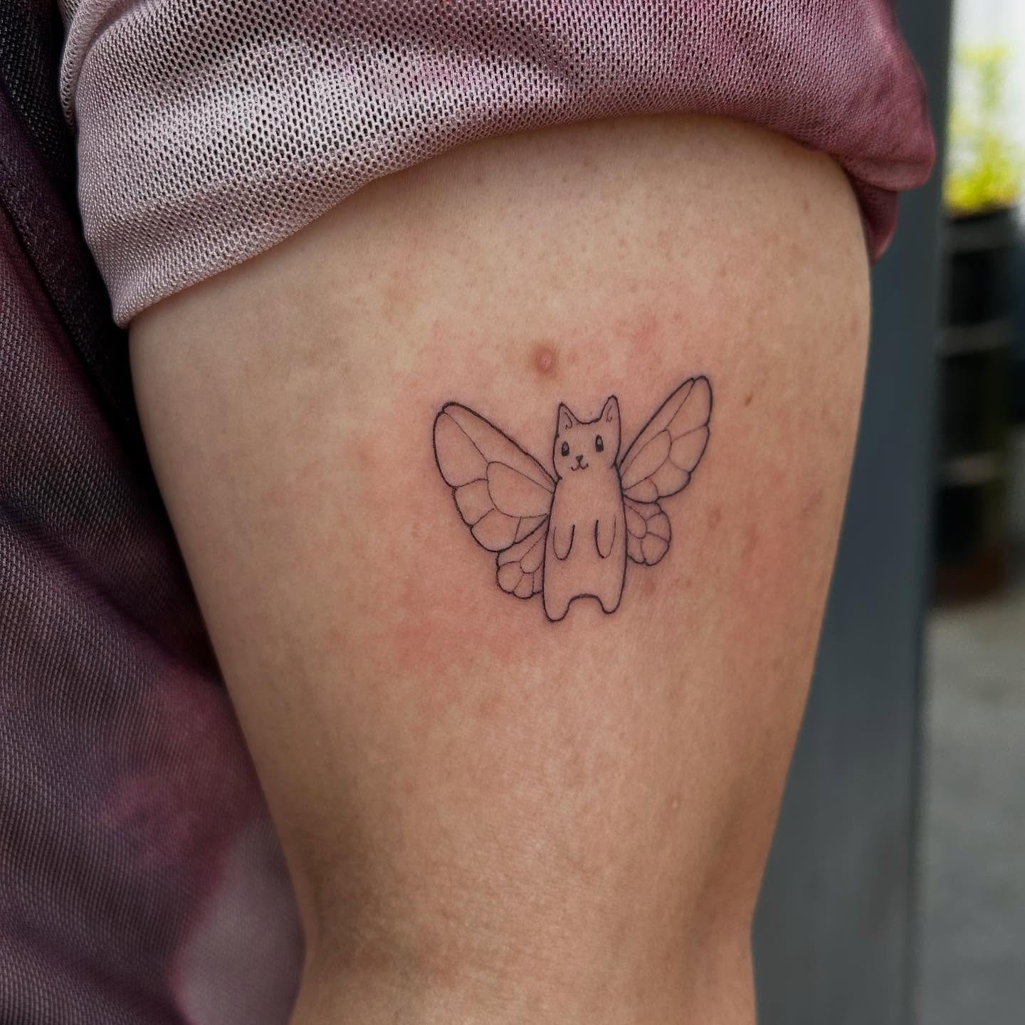 butter&bull;cat&bull;fly ✨😅🦋so cuuute!