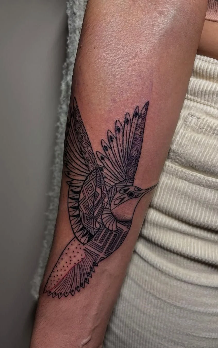 WhatsApp Image 2025-11-18 at 09.41.31.jpeg