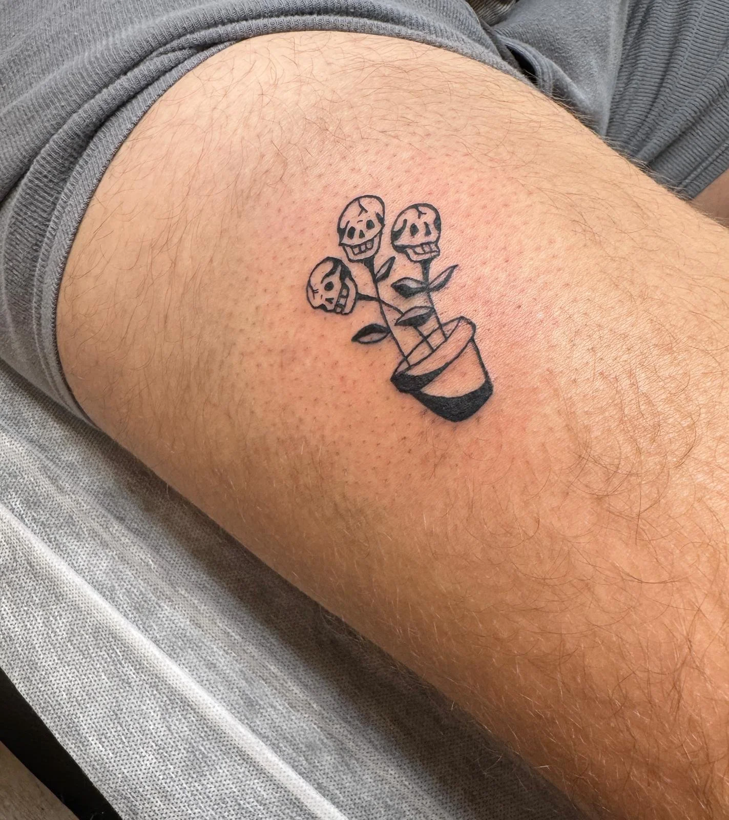 WhatsApp Image 2025-12-03 at 10.55.45.jpeg