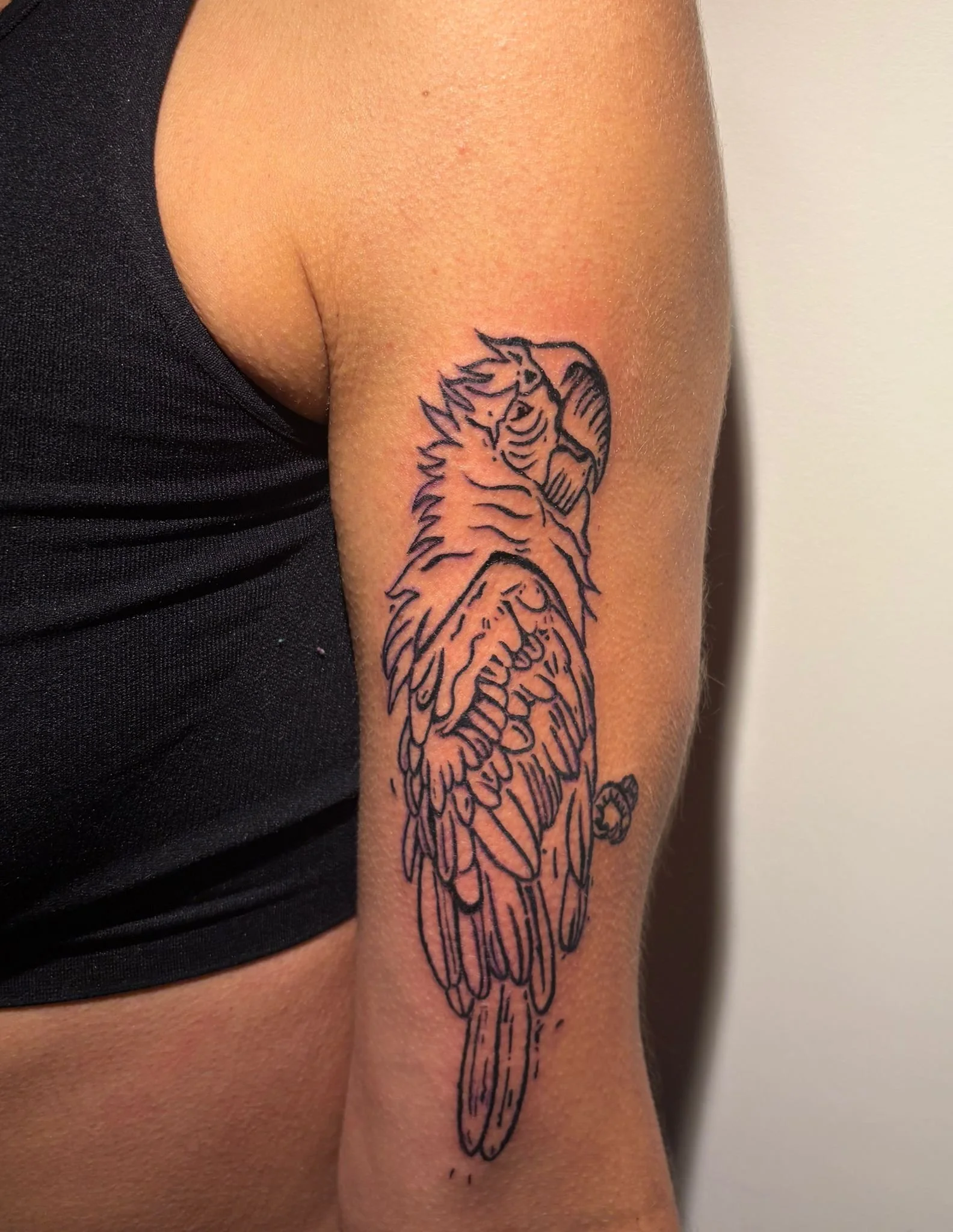 WhatsApp Image 2025-11-18 at 09.41.32.jpeg