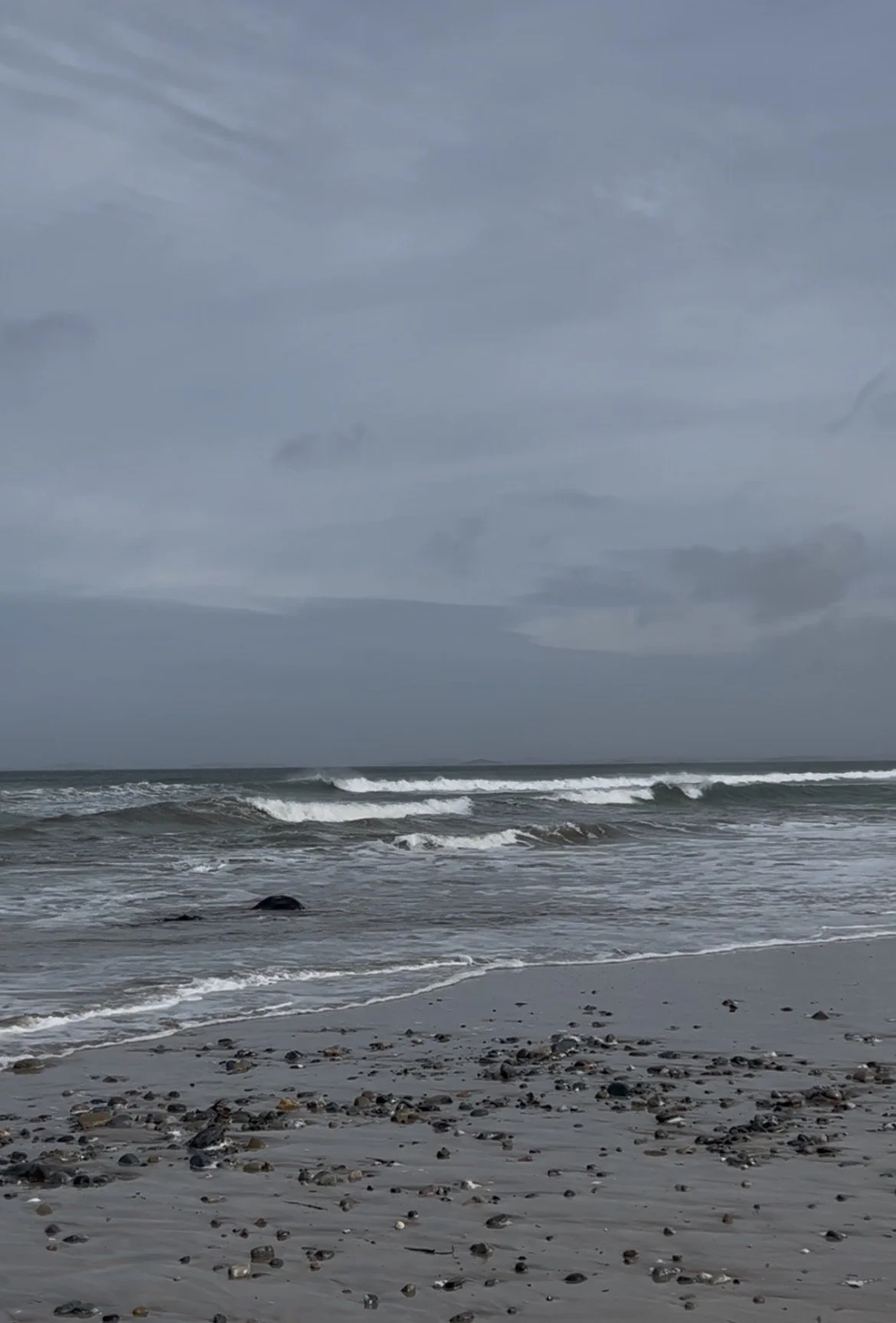 Wild Atlantic Reset - Full Payment