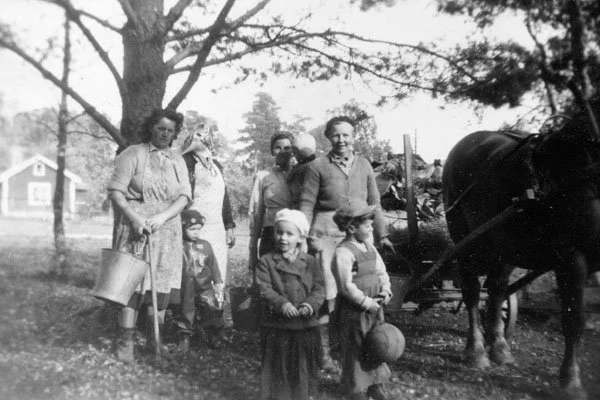  Potatisplockning vid Abrahamnsberg Kvinnan med hinken (t v): Margit Nordahl.  Flickan i förgrunden: Ingegerd Eriksson.  Pojken med boll: Hans Nordahl 