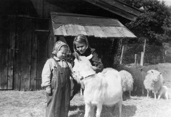  Barn på besök hos Karin Haglund, "Hagmarkens kennel" = Abrahamnsberg 