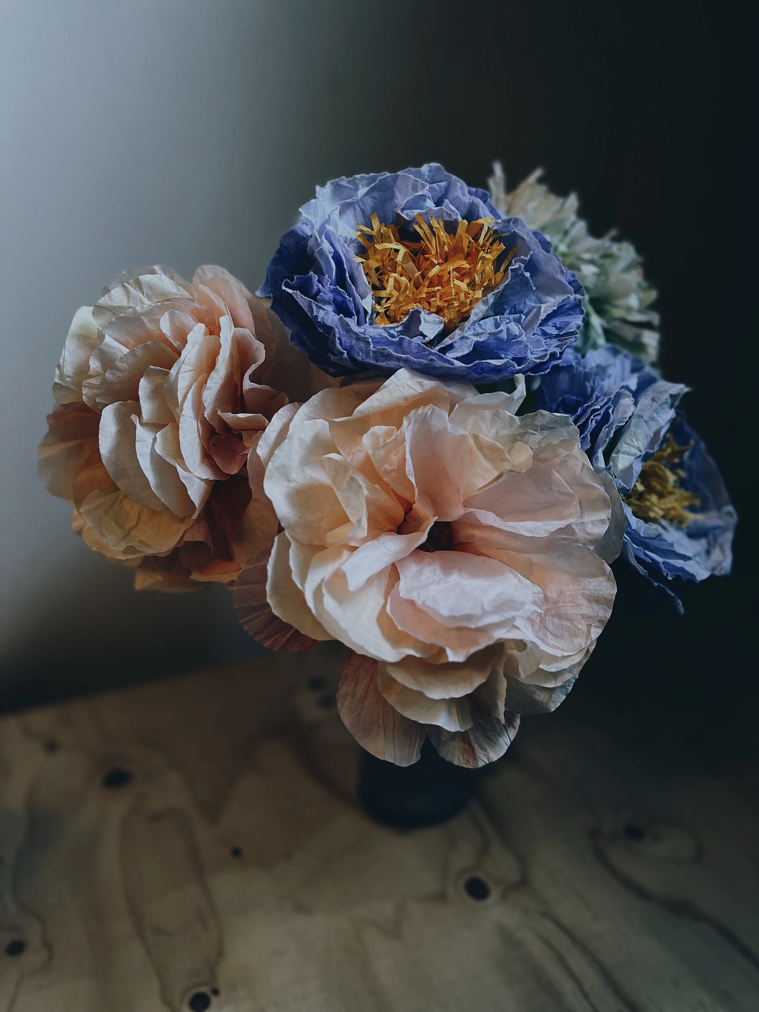 Foto 2025-02-26 11 33 01 (2) (1).jpg