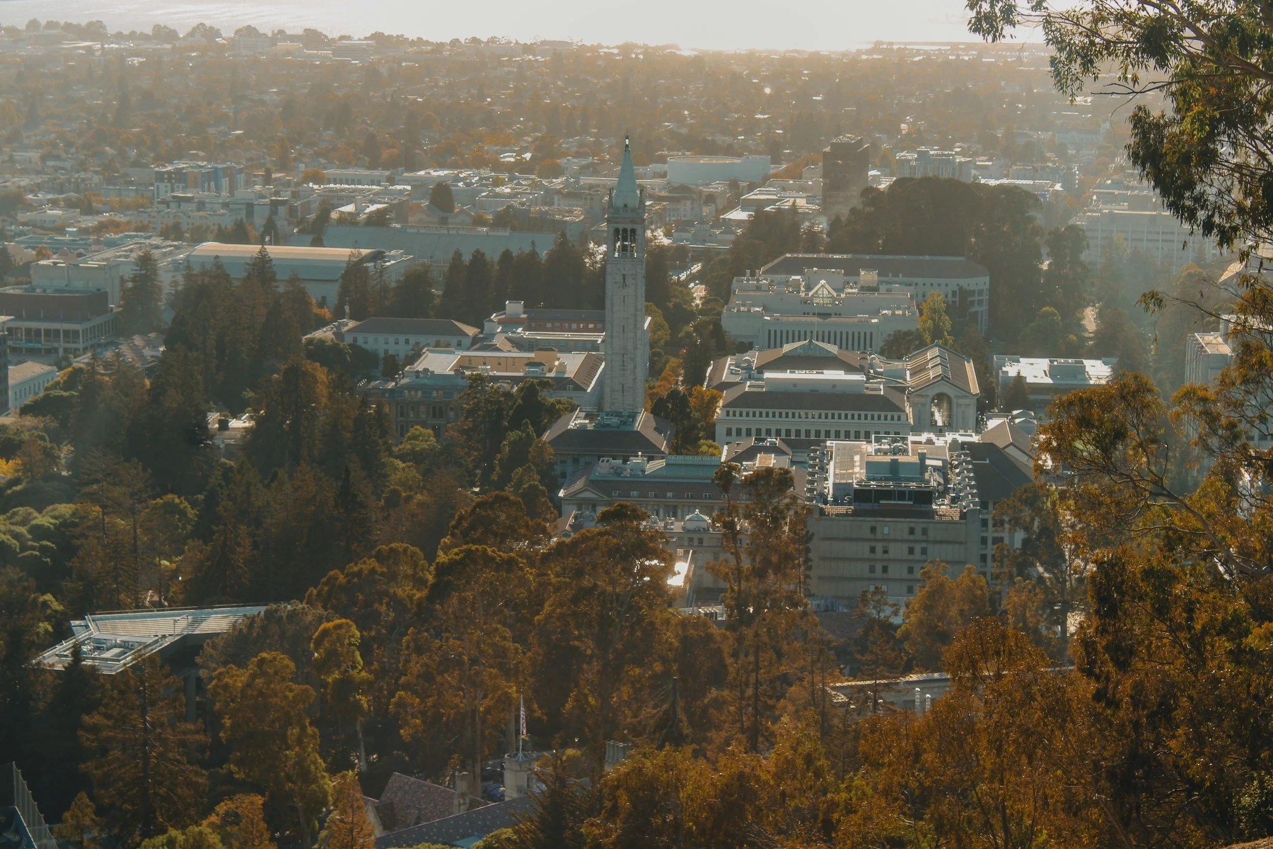5 things to know before moving to Berkeley, CA