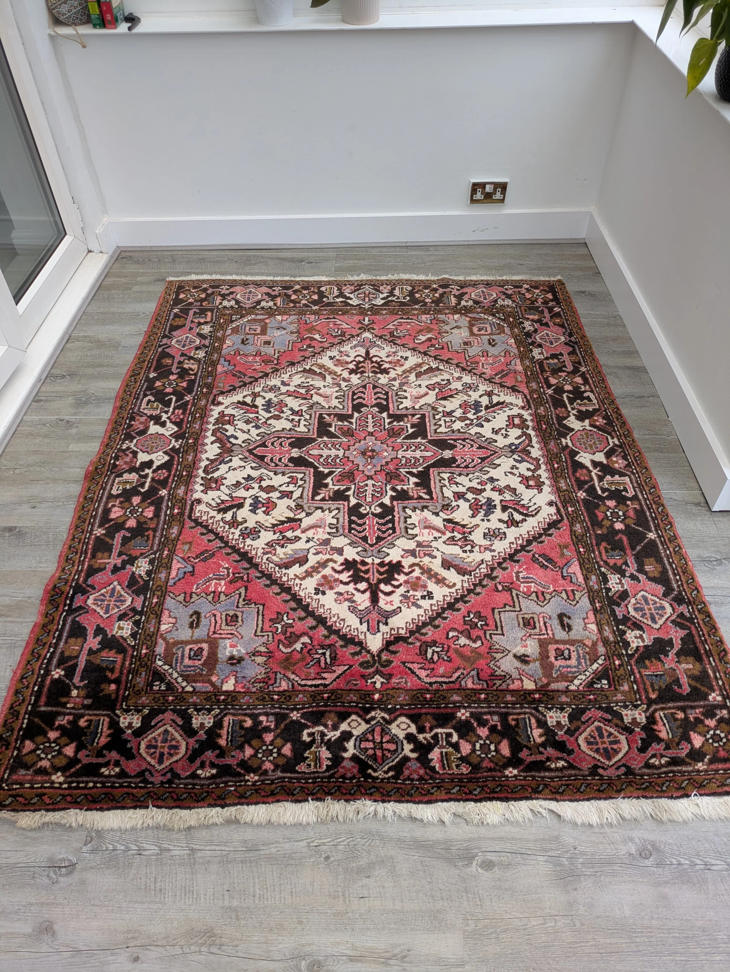 PHOTO-2026-04-16-13-16-53 2.jpg