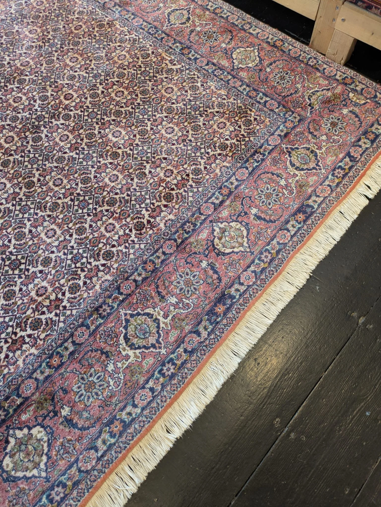 PHOTO-2026-04-16-13-18-45 2.jpg