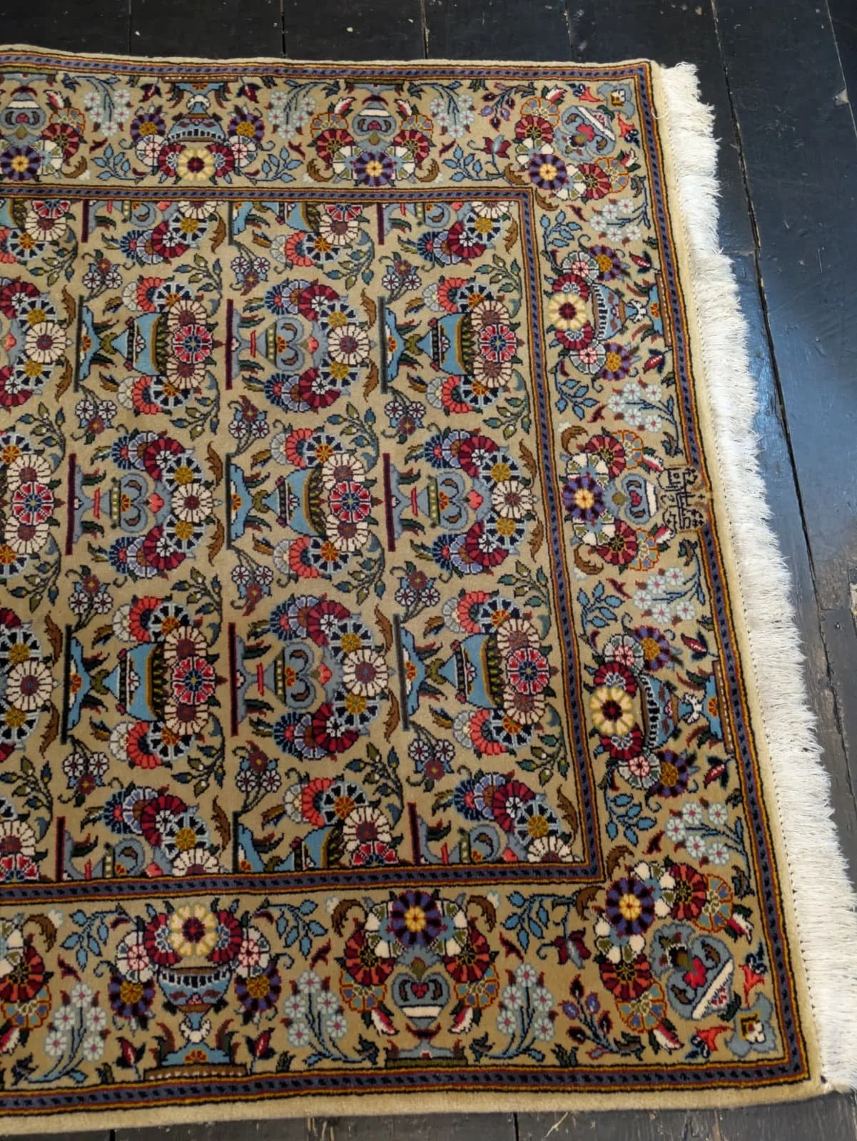 PHOTO-2026-04-16-13-18-50 3.jpg