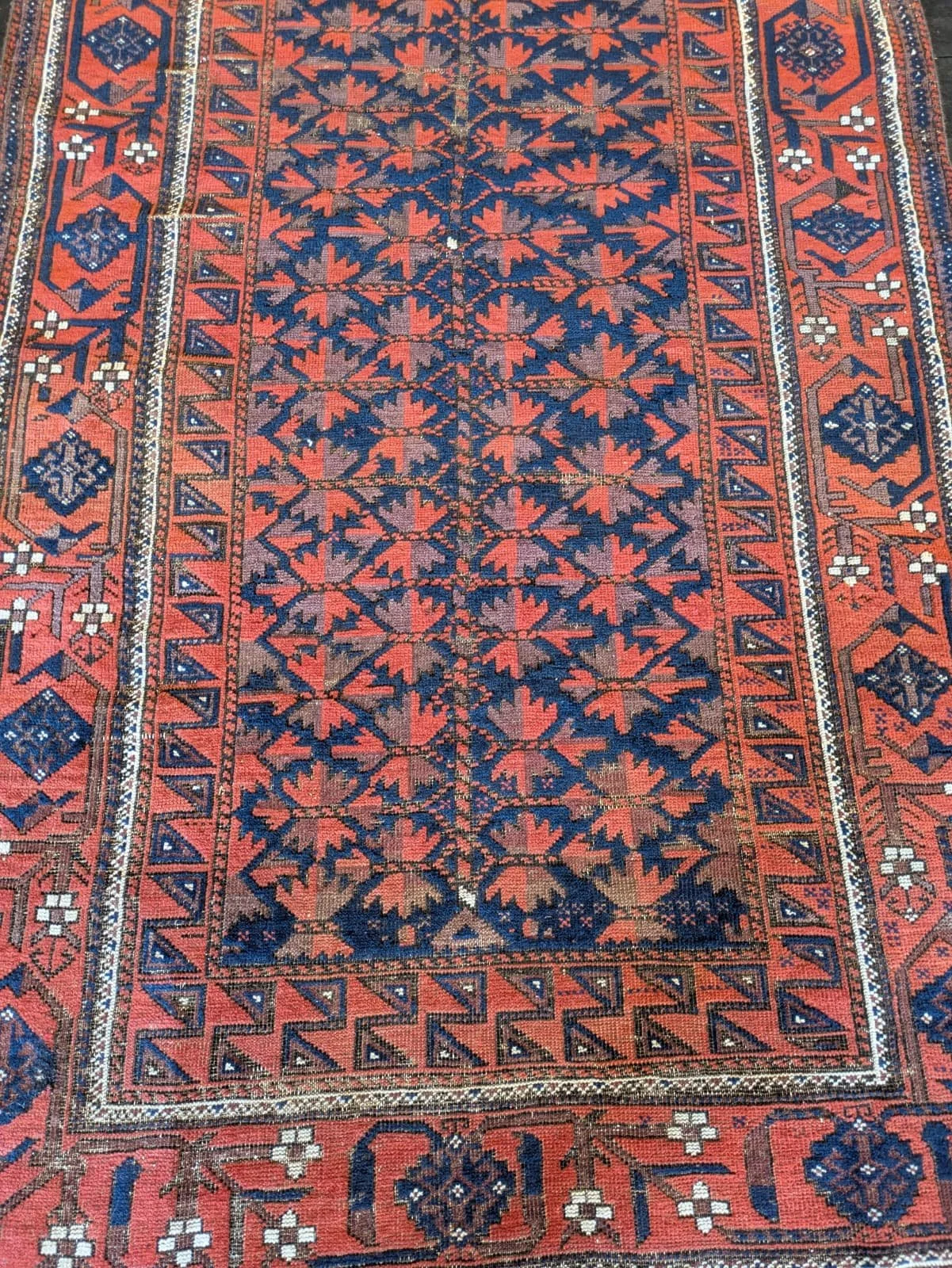 PHOTO-2026-04-20-16-37-12 3.jpg