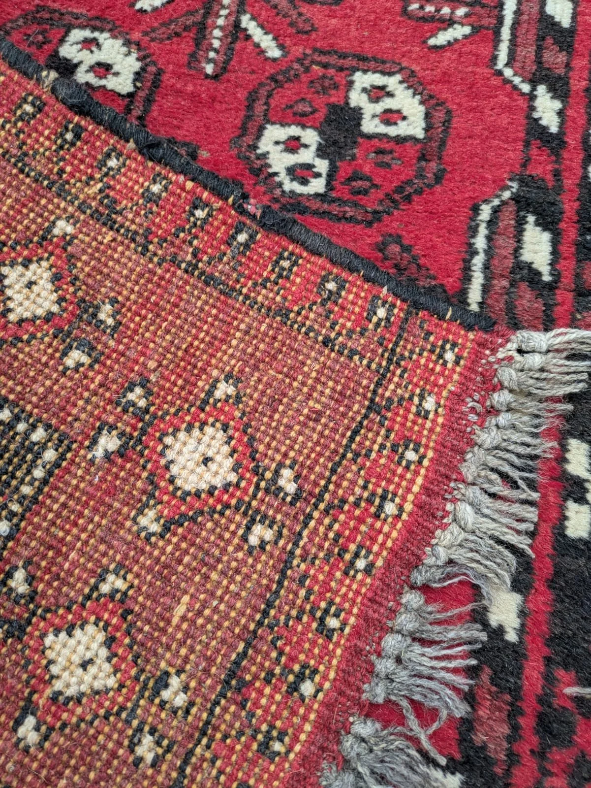 PHOTO-2026-04-24-19-23-24 4.jpg