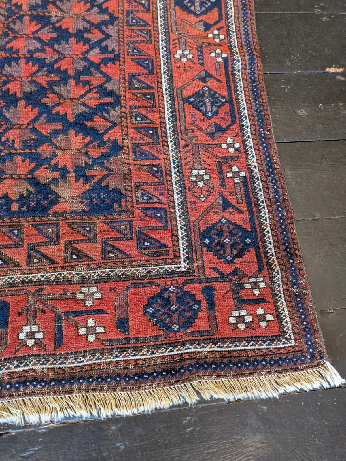 PHOTO-2026-04-20-16-37-12 5.jpg