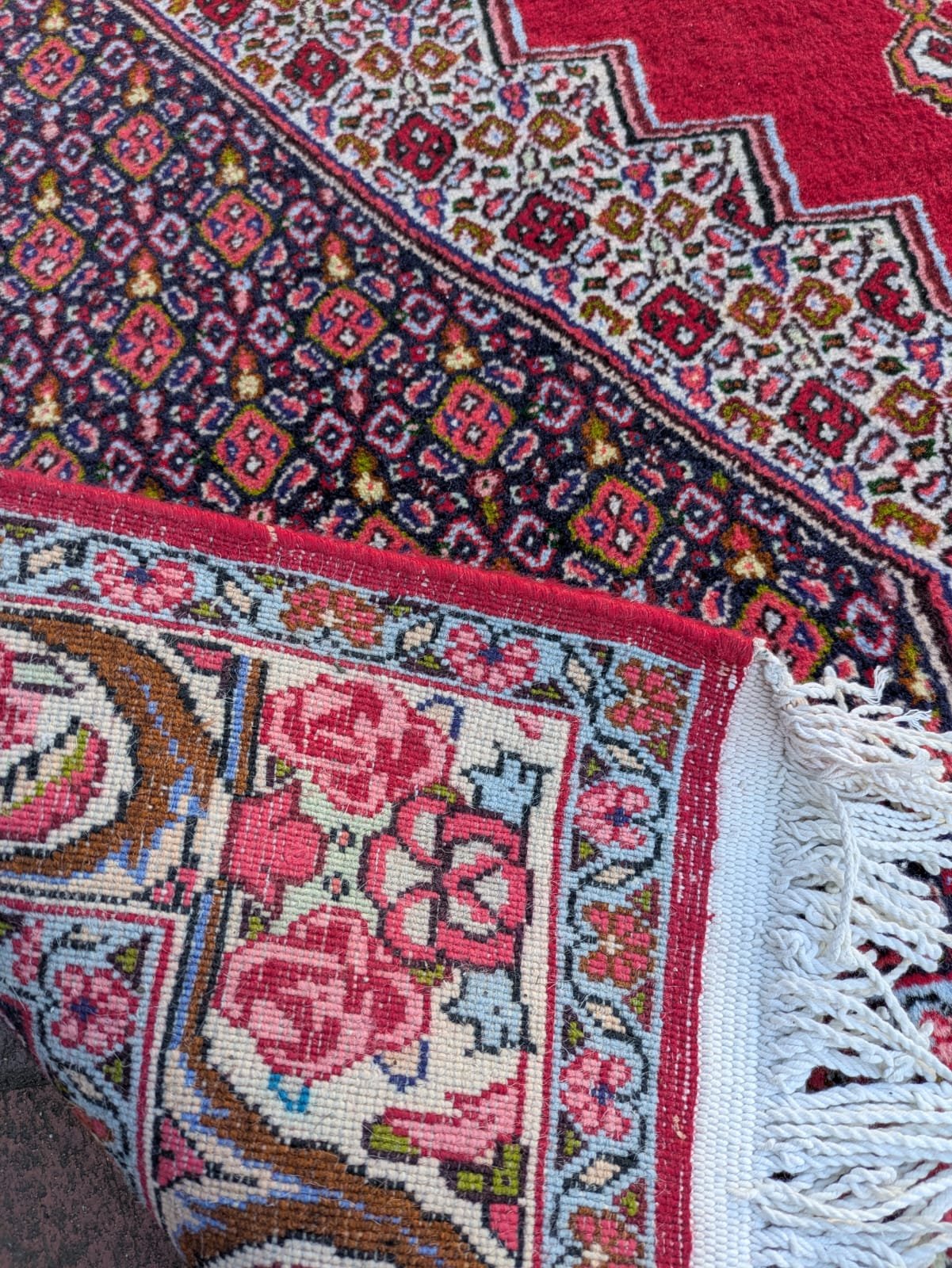 PHOTO-2026-04-16-13-18-52 2.jpg