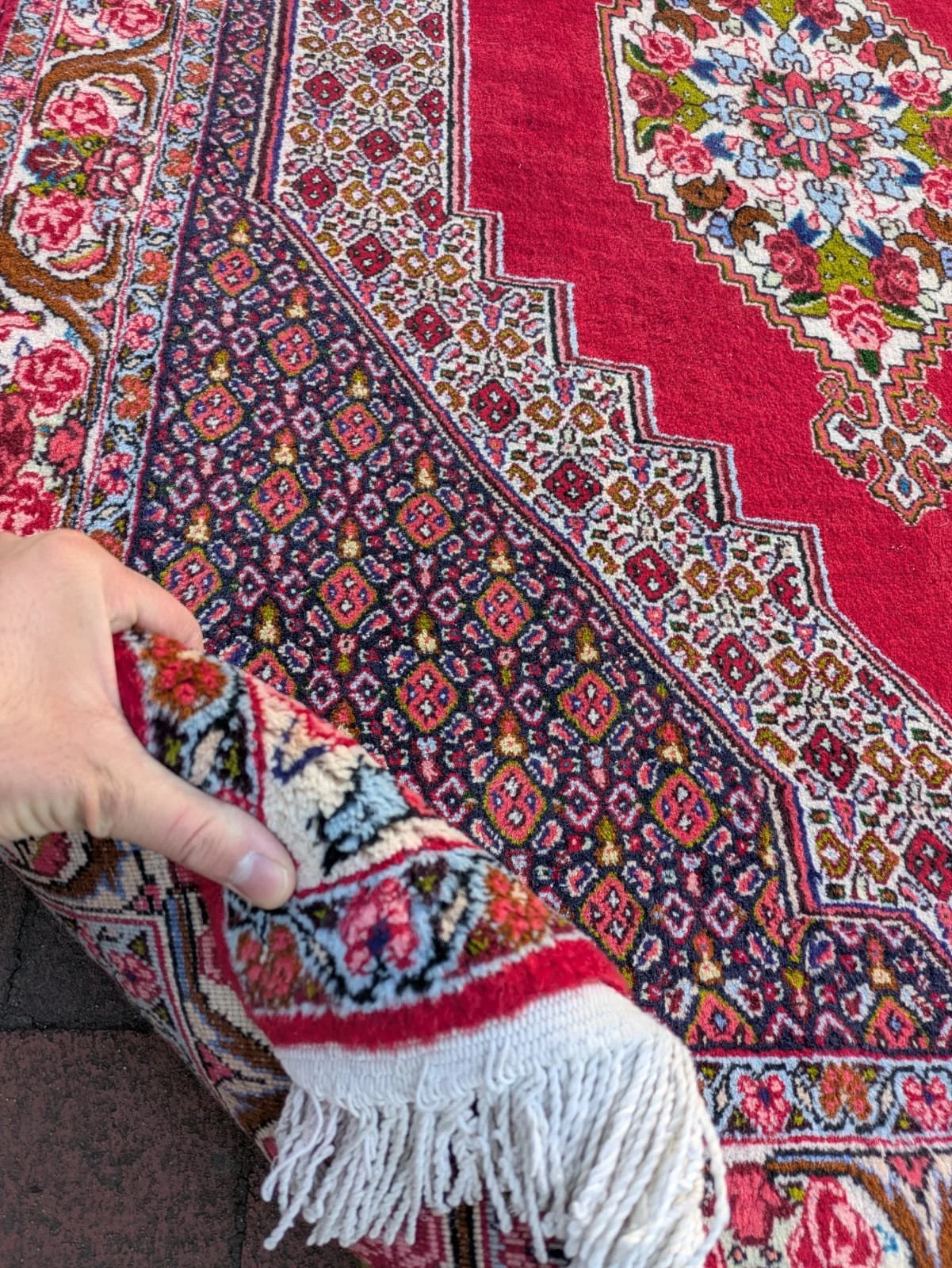 PHOTO-2026-04-16-13-18-52 3.jpg