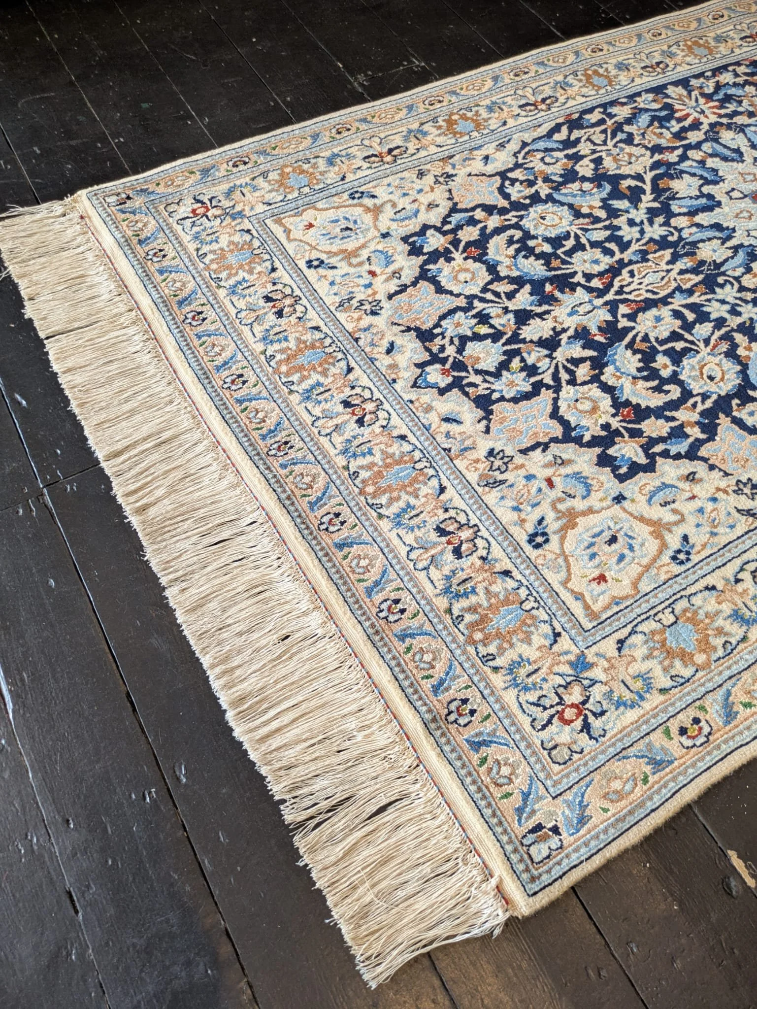 PHOTO-2026-04-24-13-15-40 4.jpg