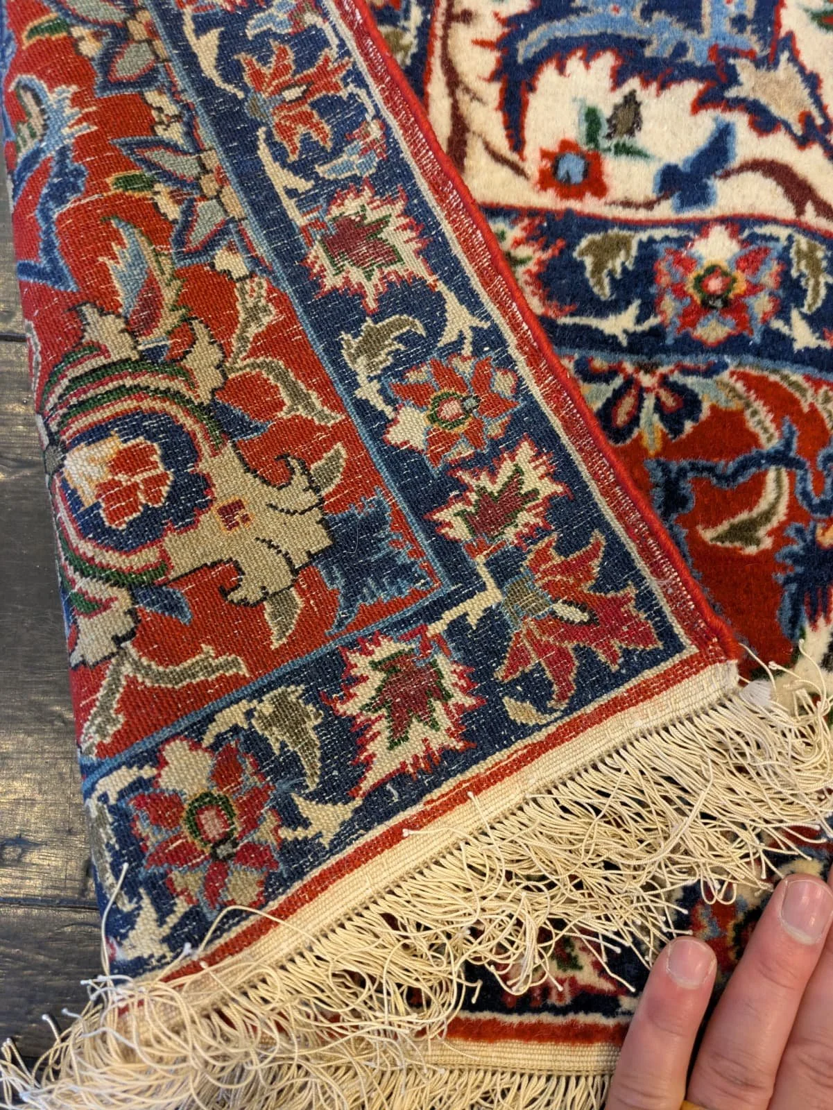 PHOTO-2026-04-16-13-18-45 4.jpg