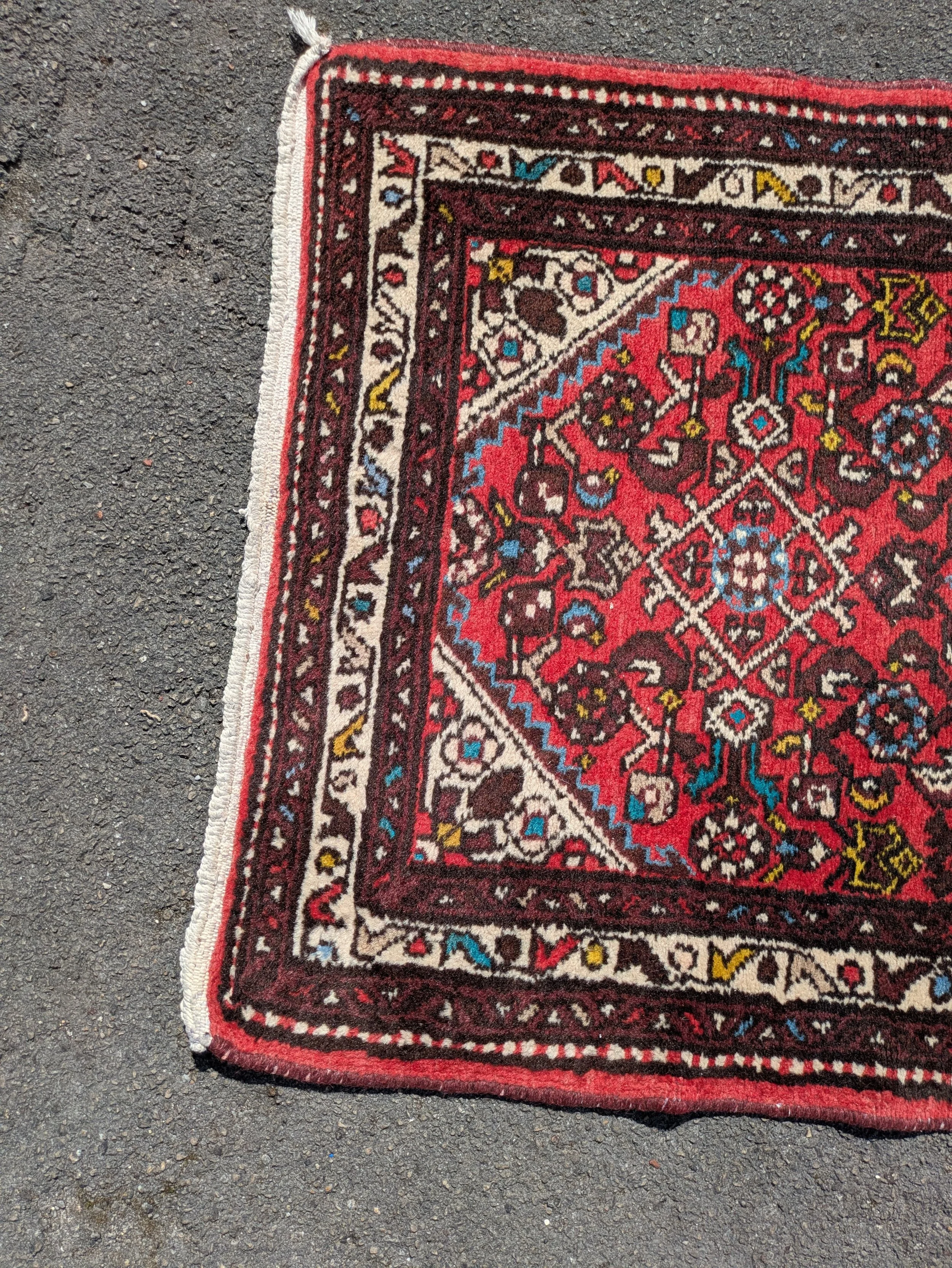 PHOTO-2026-04-24-19-22-50 3.jpg