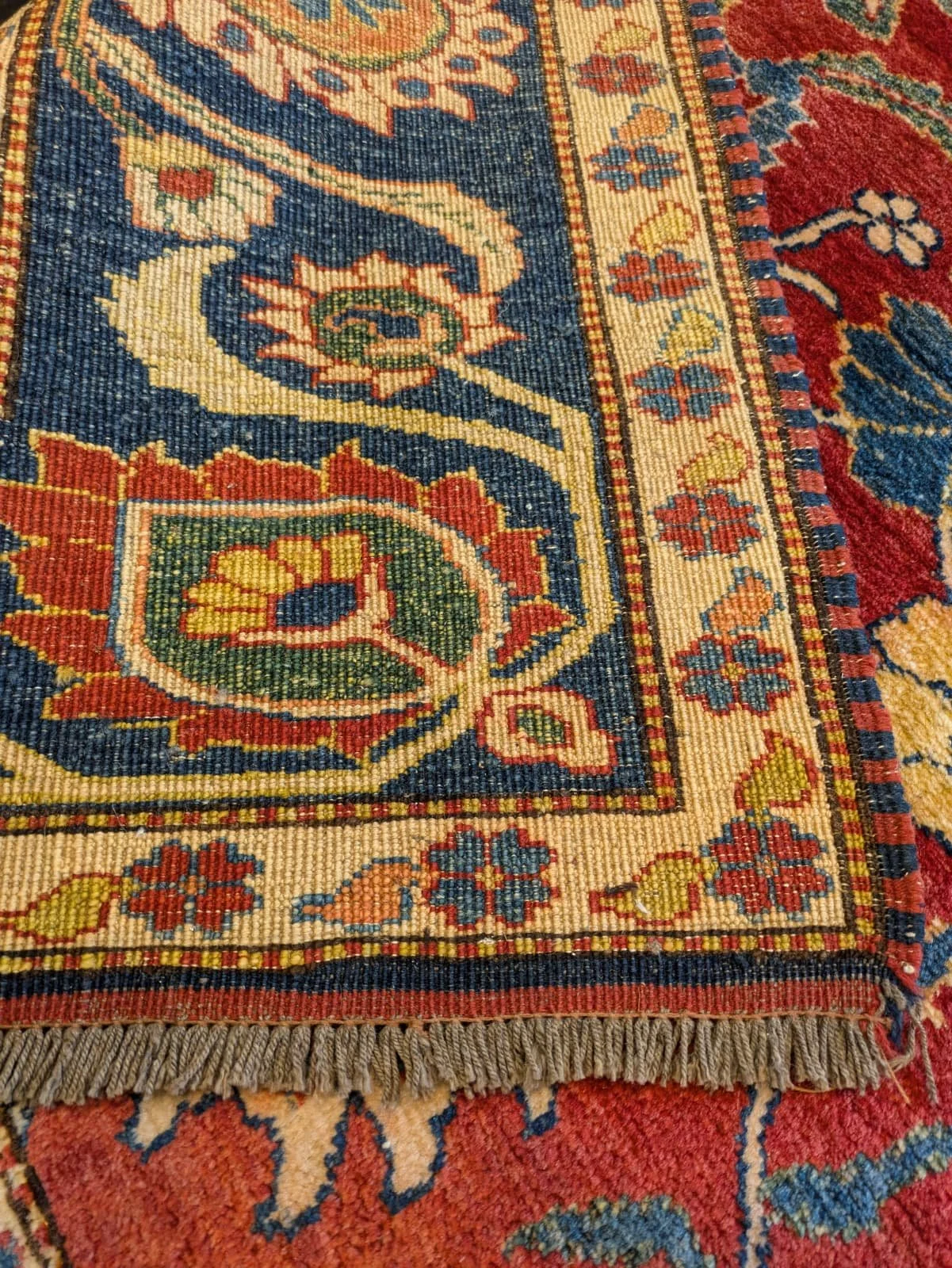 PHOTO-2026-04-14-20-49-15 3.jpg