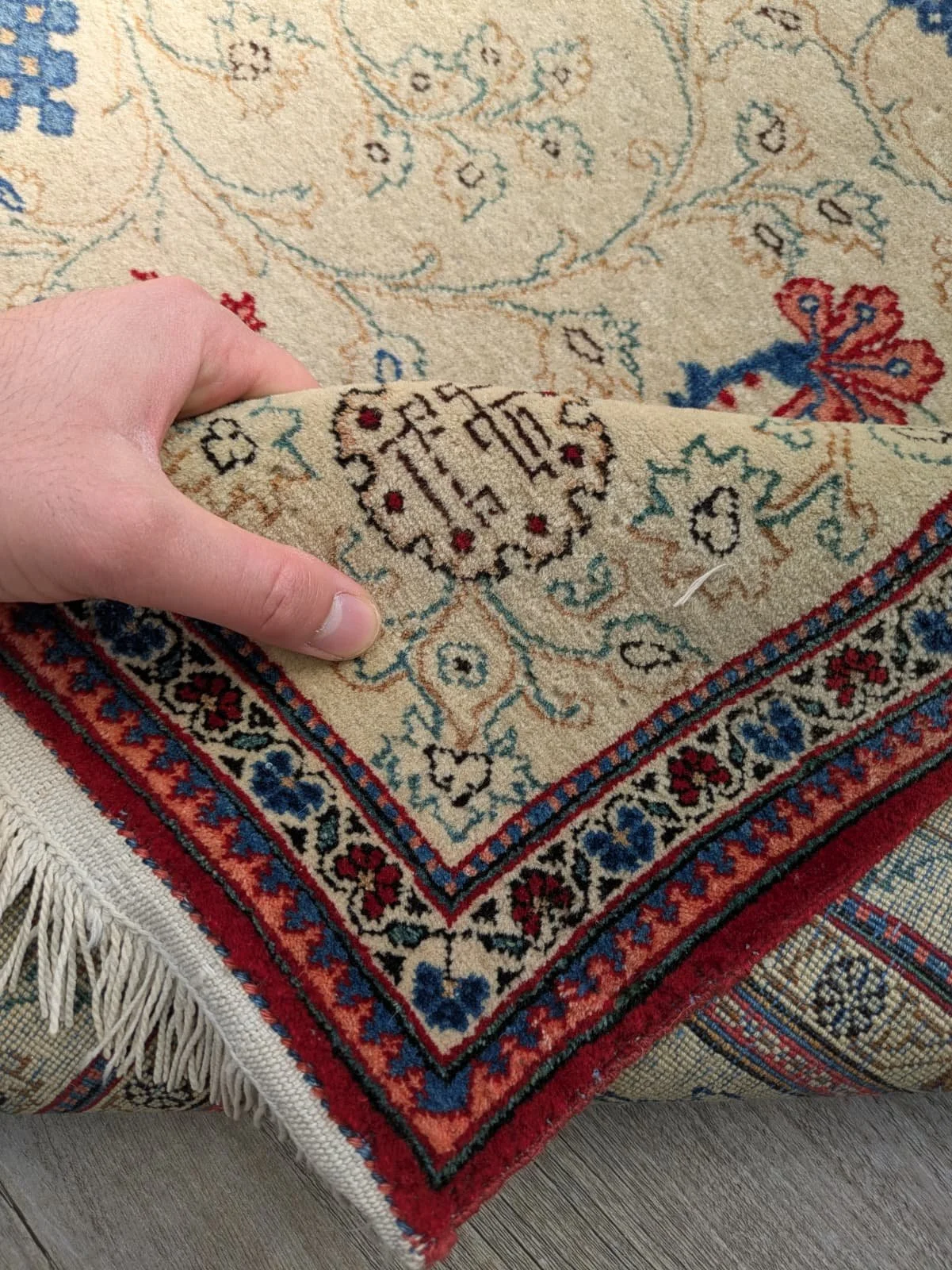 PHOTO-2026-04-14-16-56-59 3.jpg