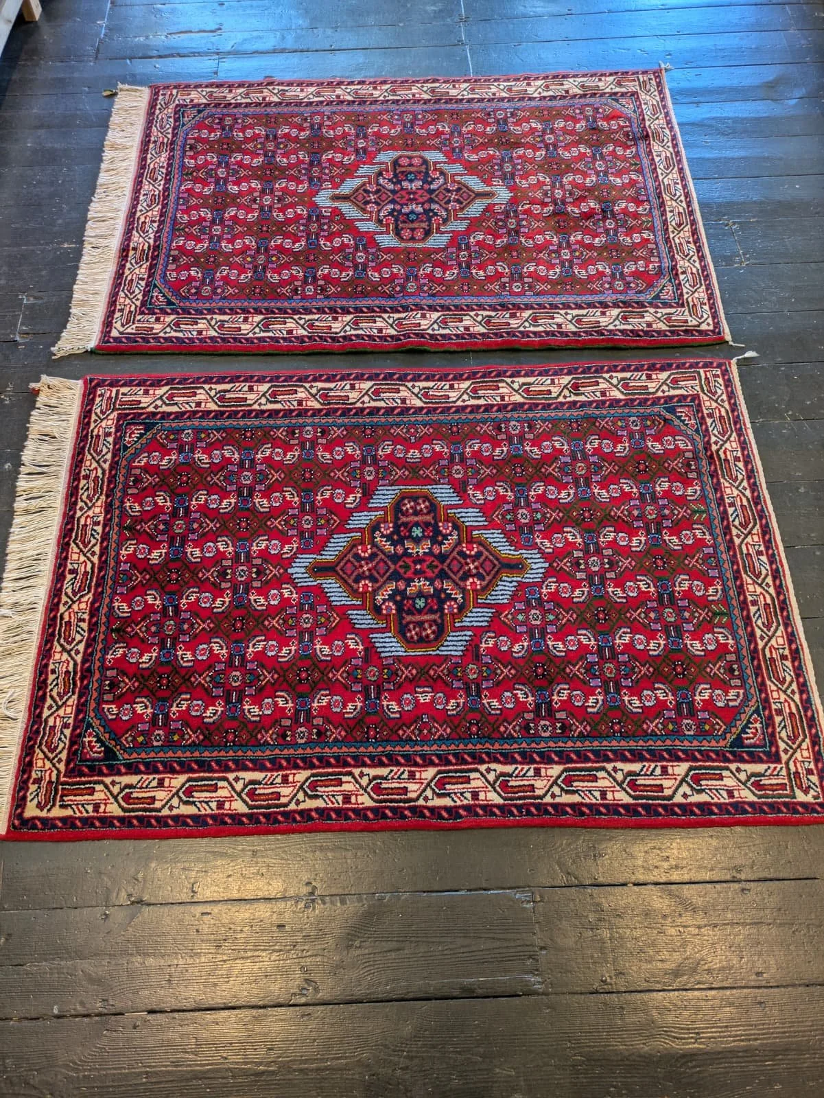 PHOTO-2026-04-20-16-37-12 8.jpg