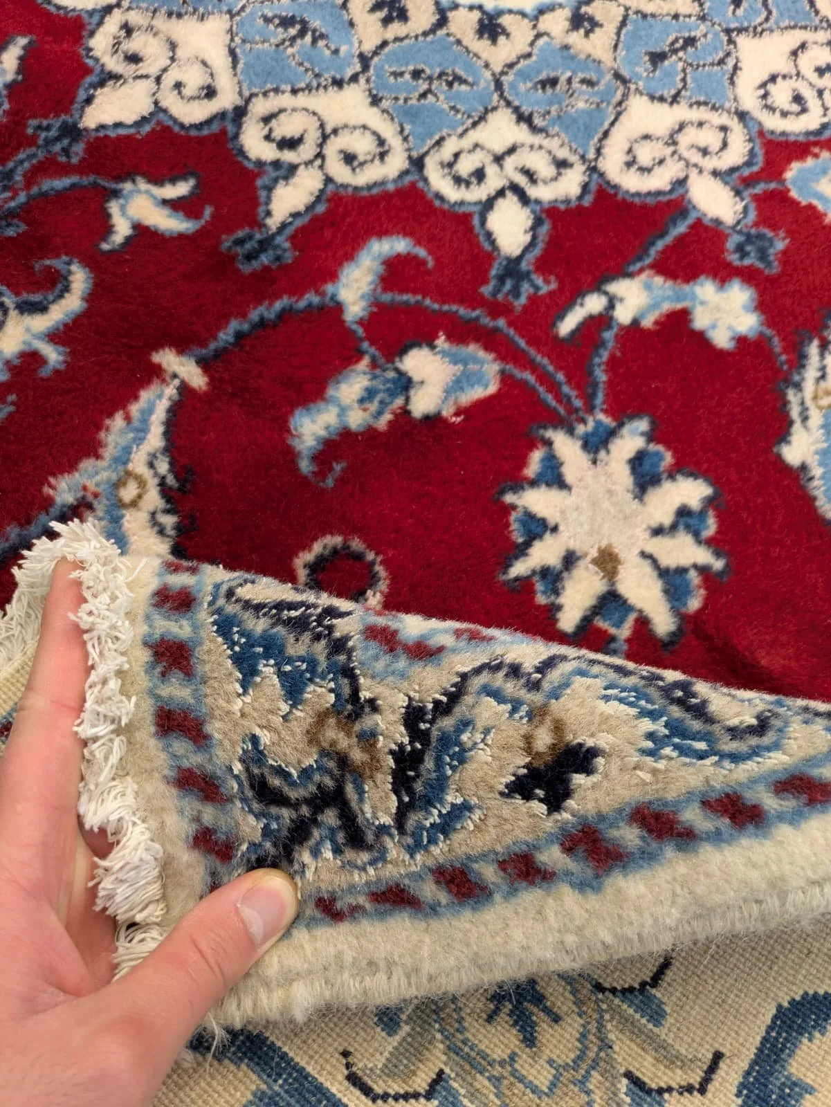 PHOTO-2026-04-16-13-18-46 2.jpg