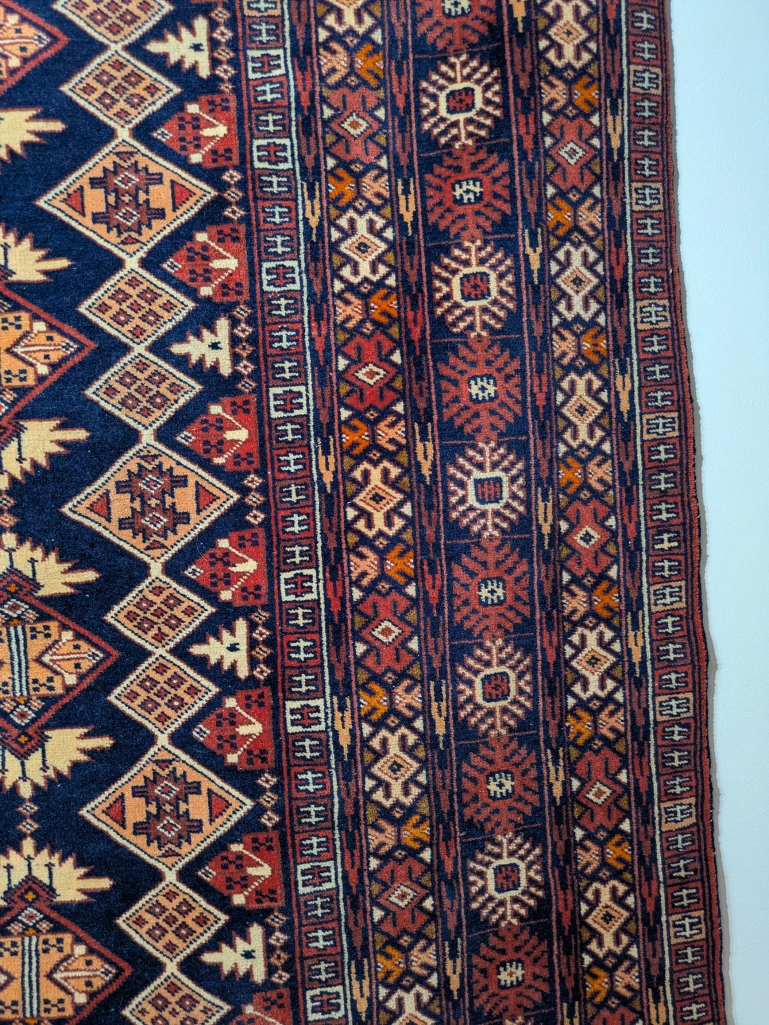 PHOTO-2026-04-24-13-15-38 4.jpg