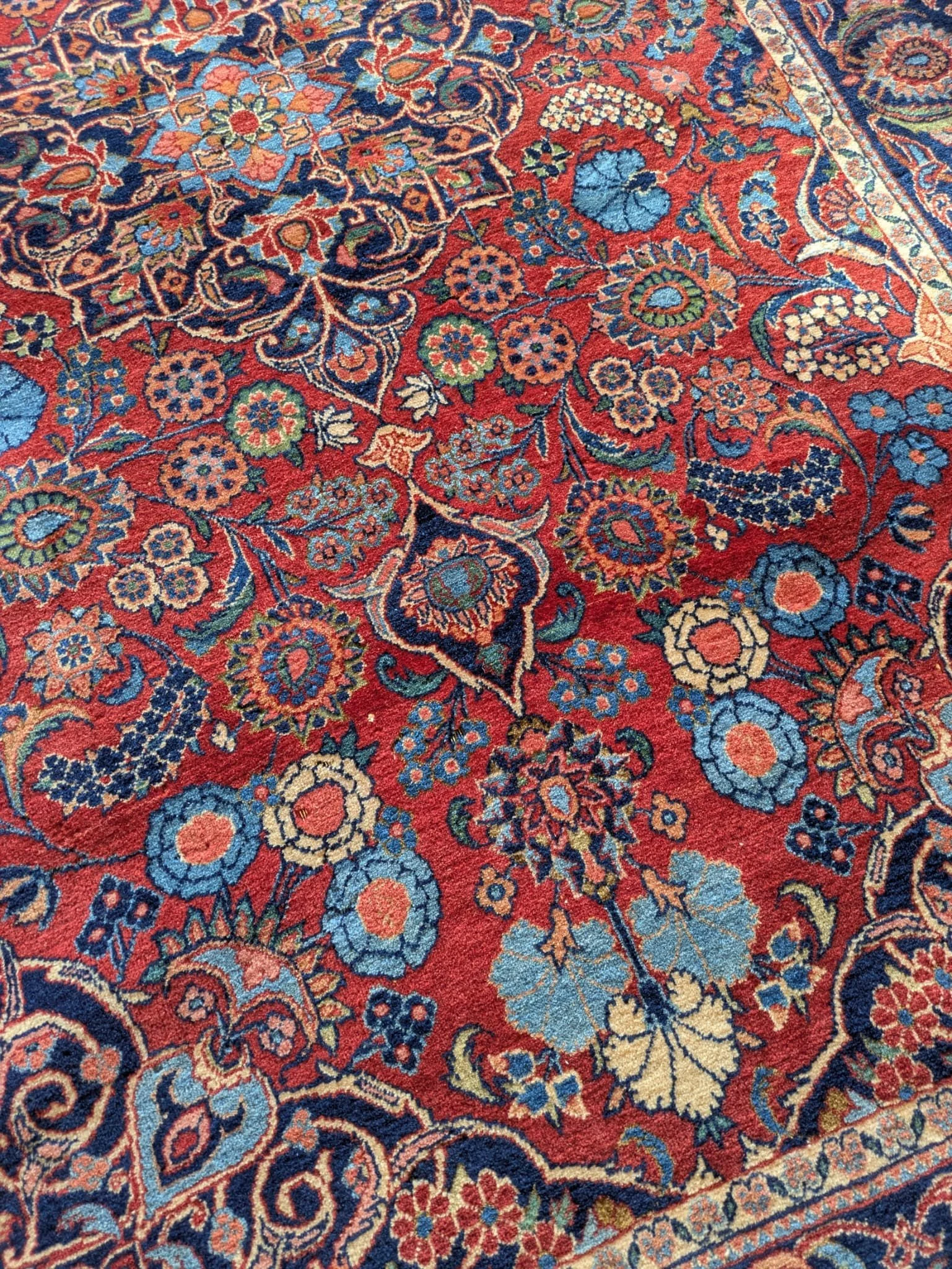 PHOTO-2026-04-24-13-15-22 6.jpg