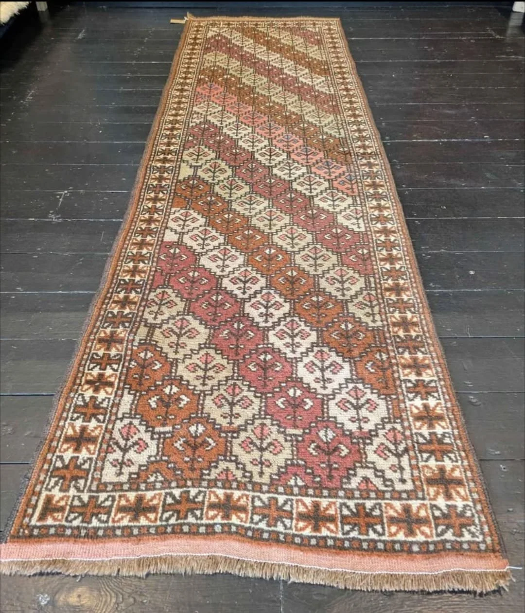 PHOTO-2026-04-24-13-15-39 4.jpg