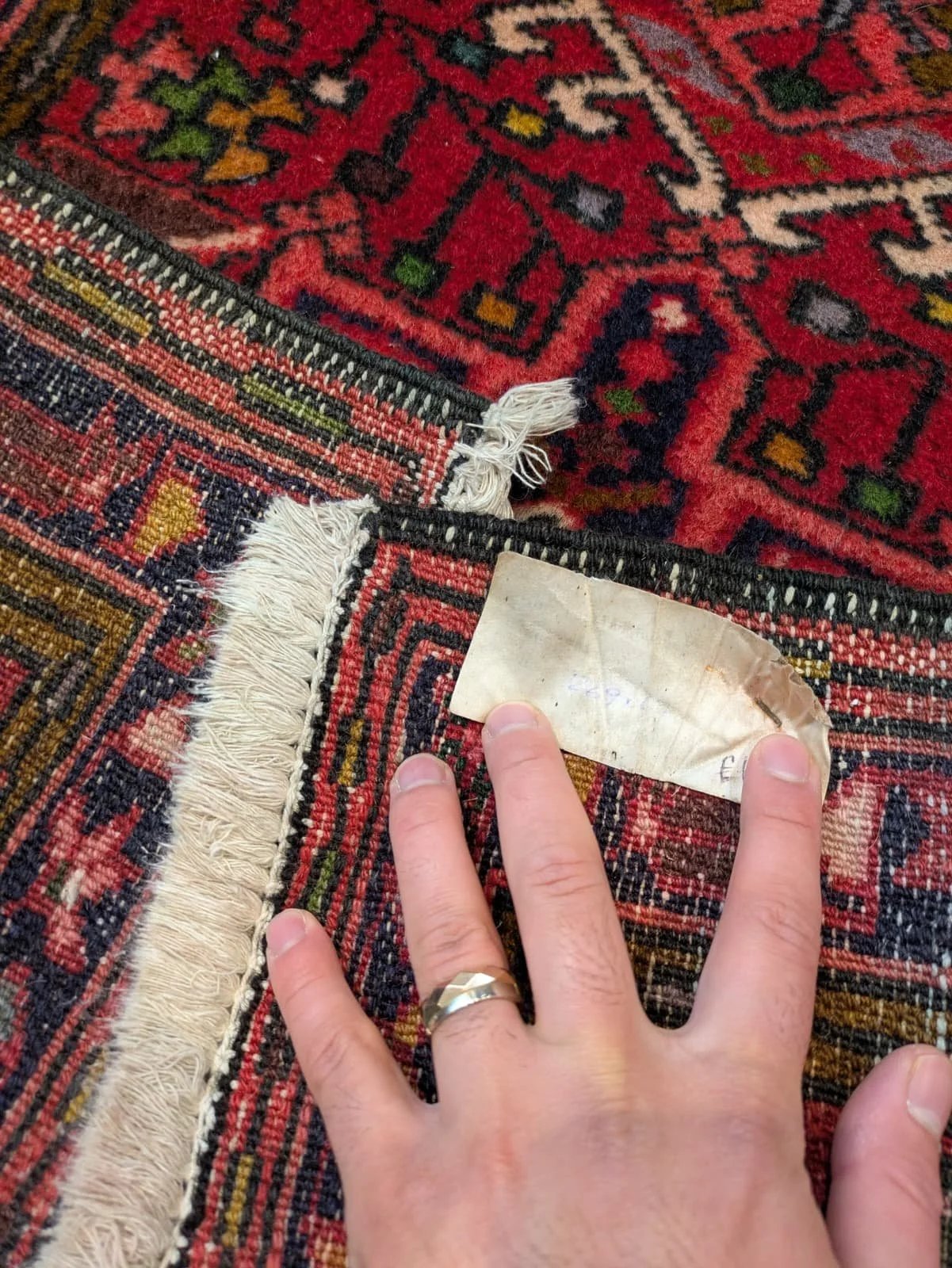 PHOTO-2026-04-20-16-36-09 2.jpg