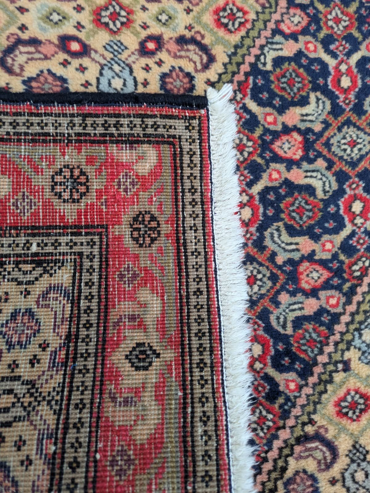 PHOTO-2026-04-24-19-23-26 8.jpg