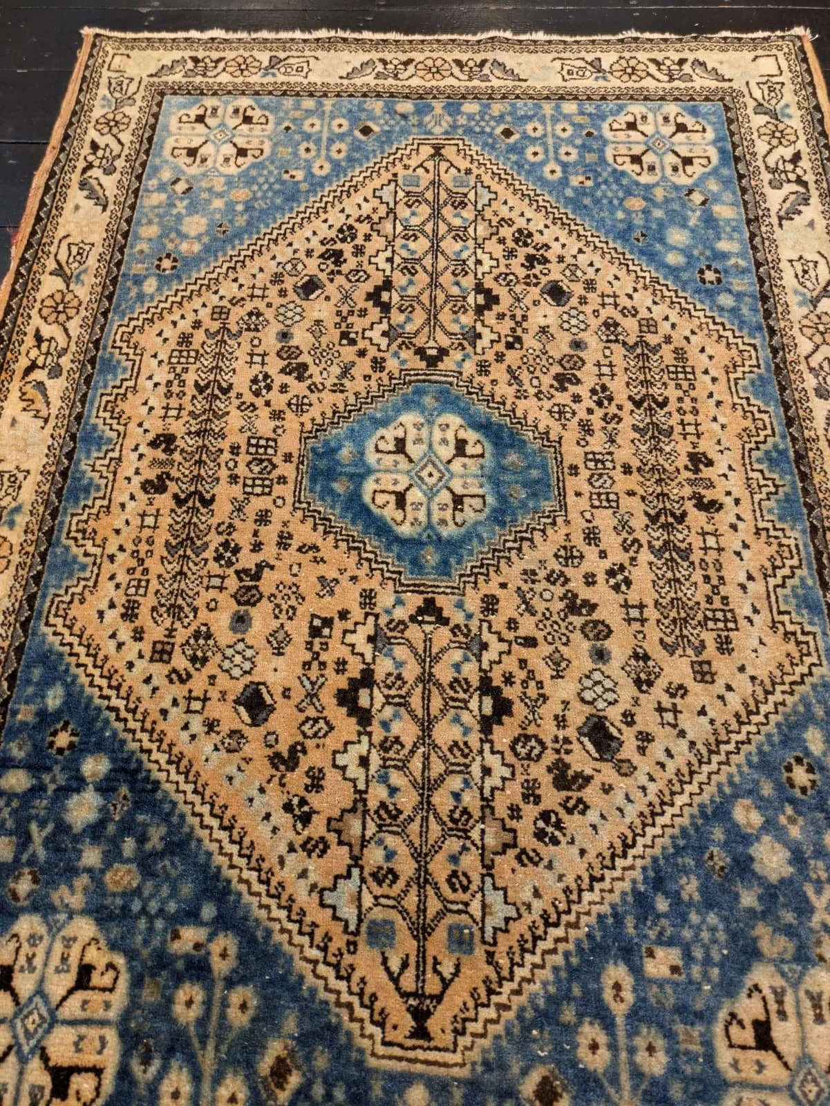 PHOTO-2026-04-20-16-37-14 3.jpg