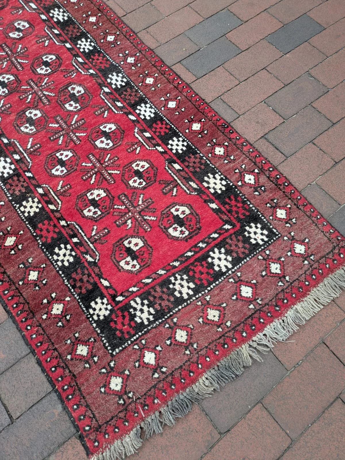 PHOTO-2026-04-24-19-23-23 3.jpg