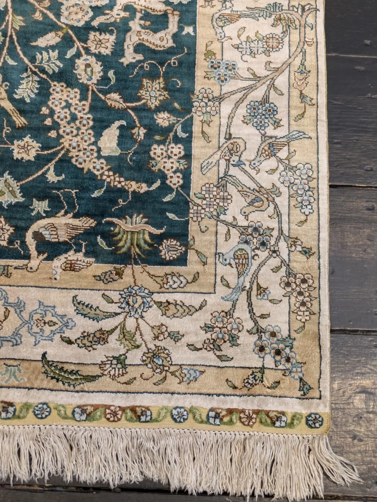 PHOTO-2026-04-24-19-22-51 2.jpg