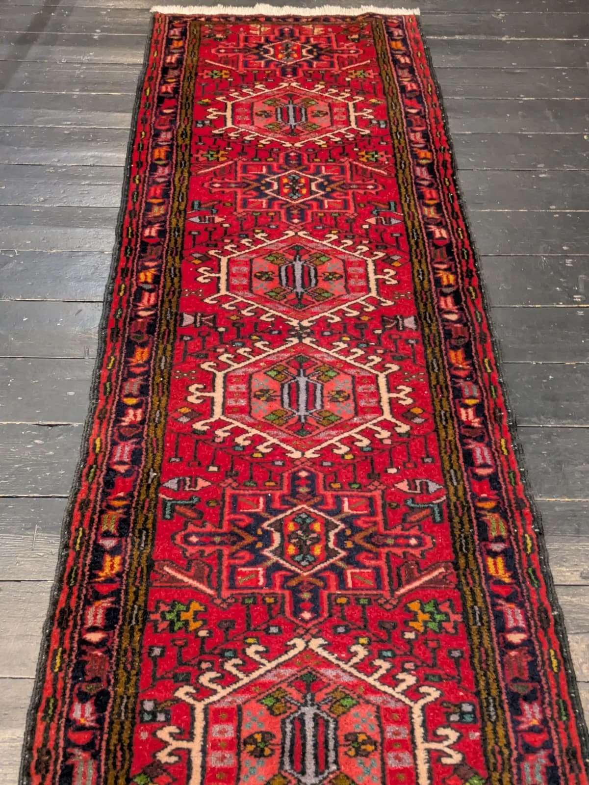 PHOTO-2026-04-20-16-36-08 3.jpg