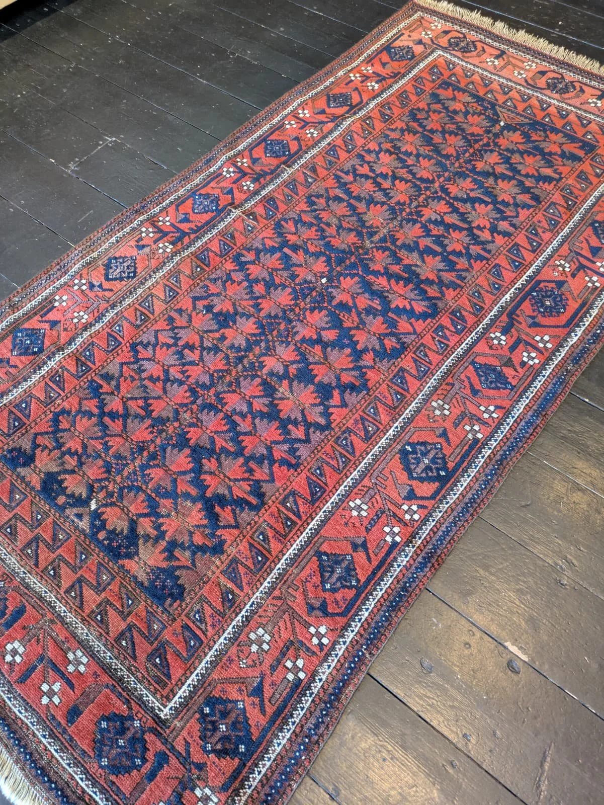 PHOTO-2026-04-20-16-37-12 4.jpg