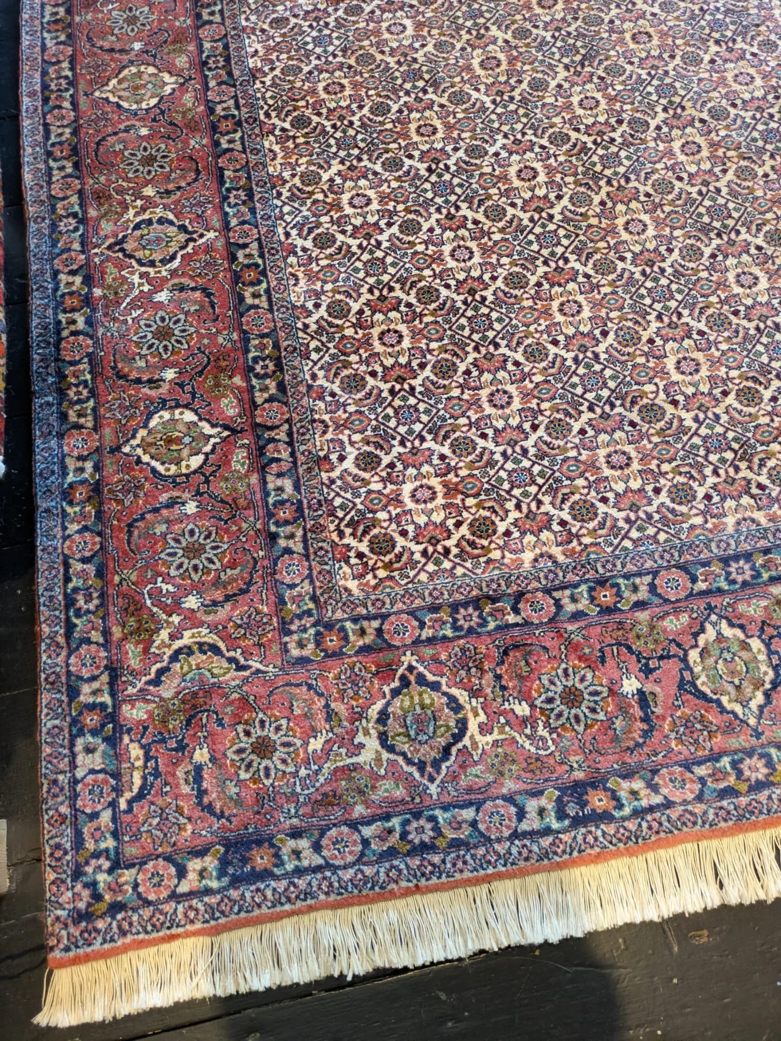 PHOTO-2026-04-16-13-18-46 7.jpg