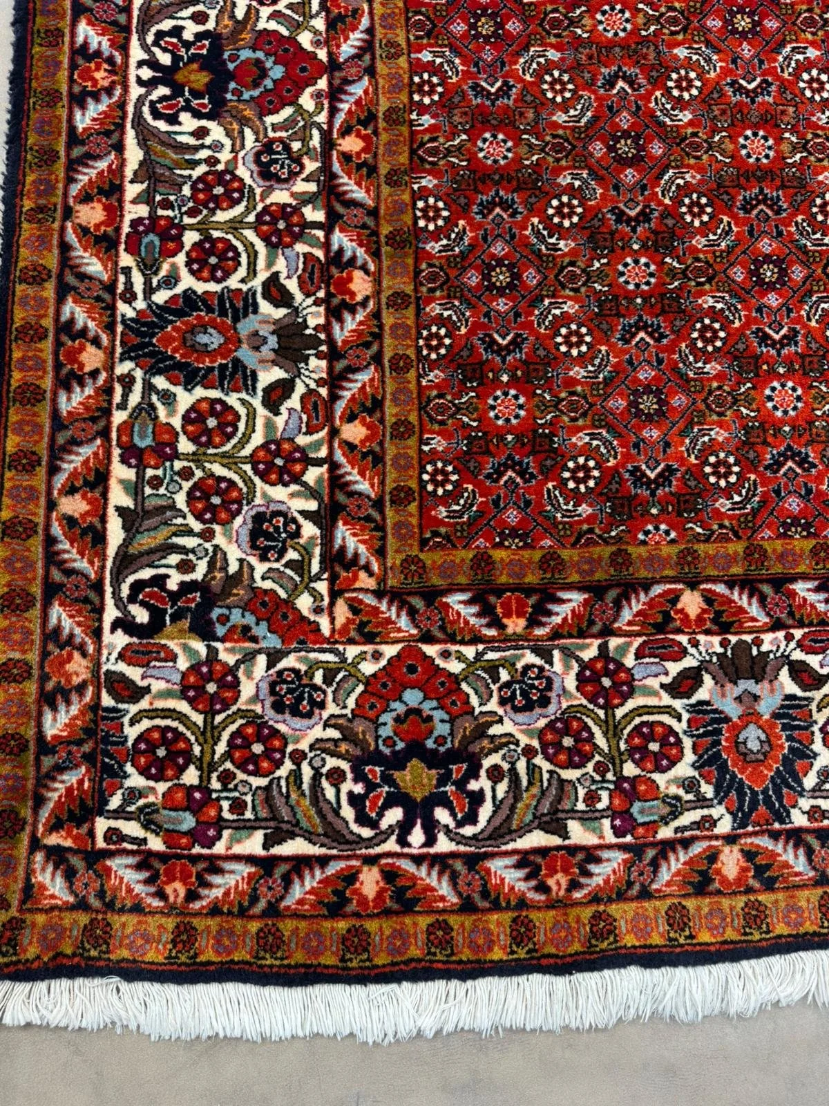 PHOTO-2026-04-16-23-57-39 2.jpg