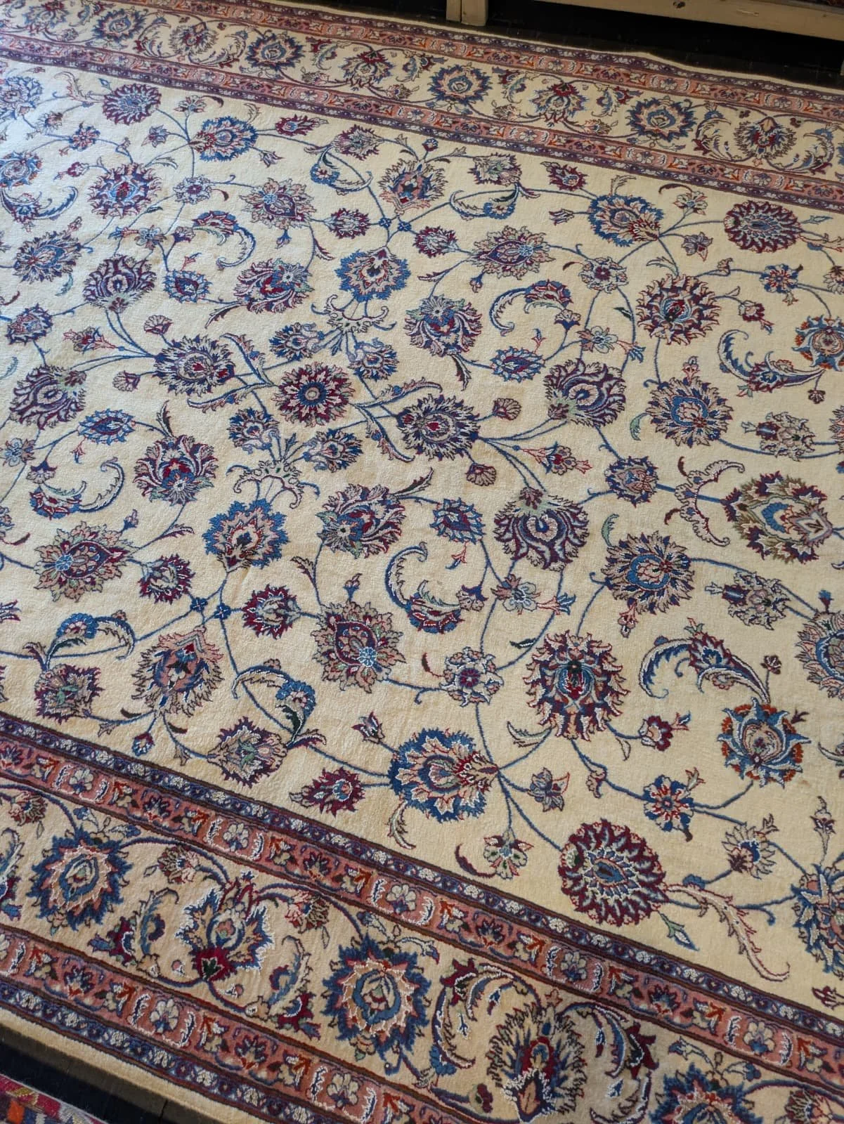 PHOTO-2026-04-24-13-15-39 2.jpg