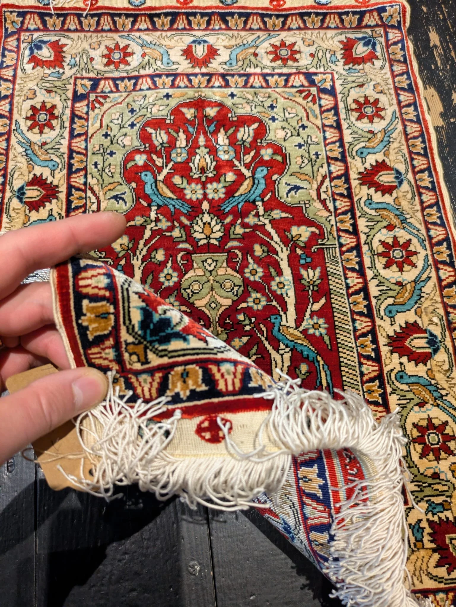 PHOTO-2026-04-24-19-23-22 3.jpg