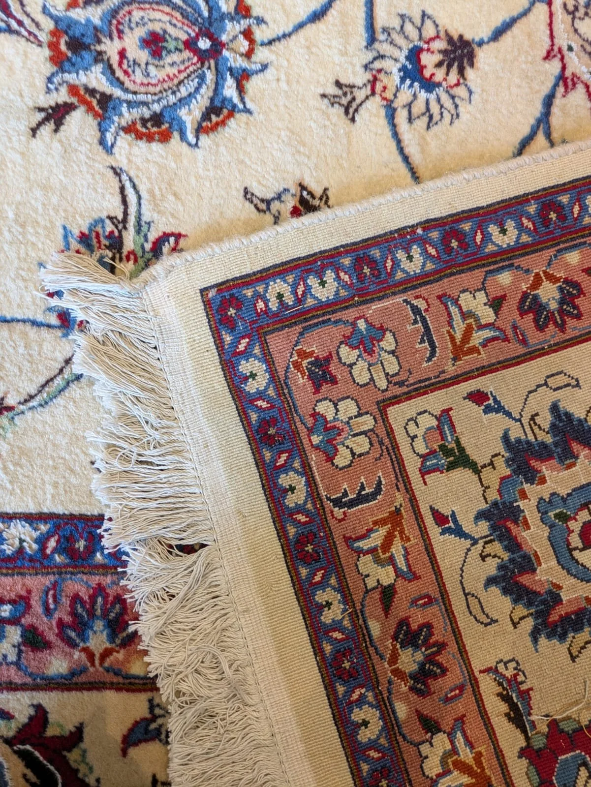 PHOTO-2026-04-24-13-15-39 5.jpg