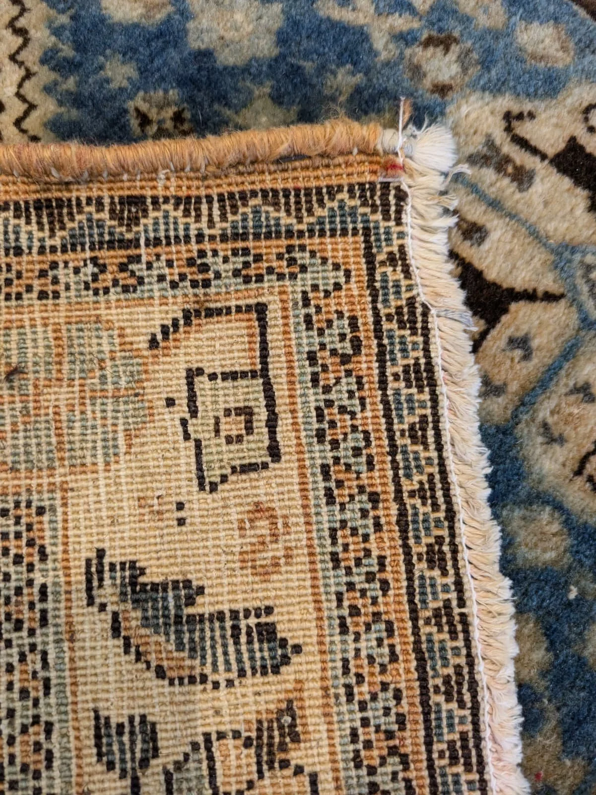 PHOTO-2026-04-20-16-37-14 2.jpg